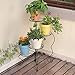Worth 4-Tier Upgraded Heavy Duty Plant Stand & Flower Pot Holder Garden | Modern Indoor & Outdoor Home Décor | Weather Resistant (Black) Very Sturdy & Well Madethumb 3