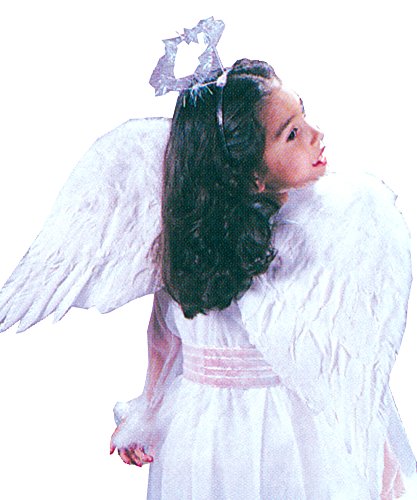 Angel Wings Feathr Child Wht Costume Accessory