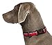 HALTI Comfort Collar - Nylon and Neoprene-Padded Comfy Dog Collar, Reflective, Easy to Fit & Use. Colorful two-tone design, Suitable for Medium Dogs and Puppies (Size M, Red)
