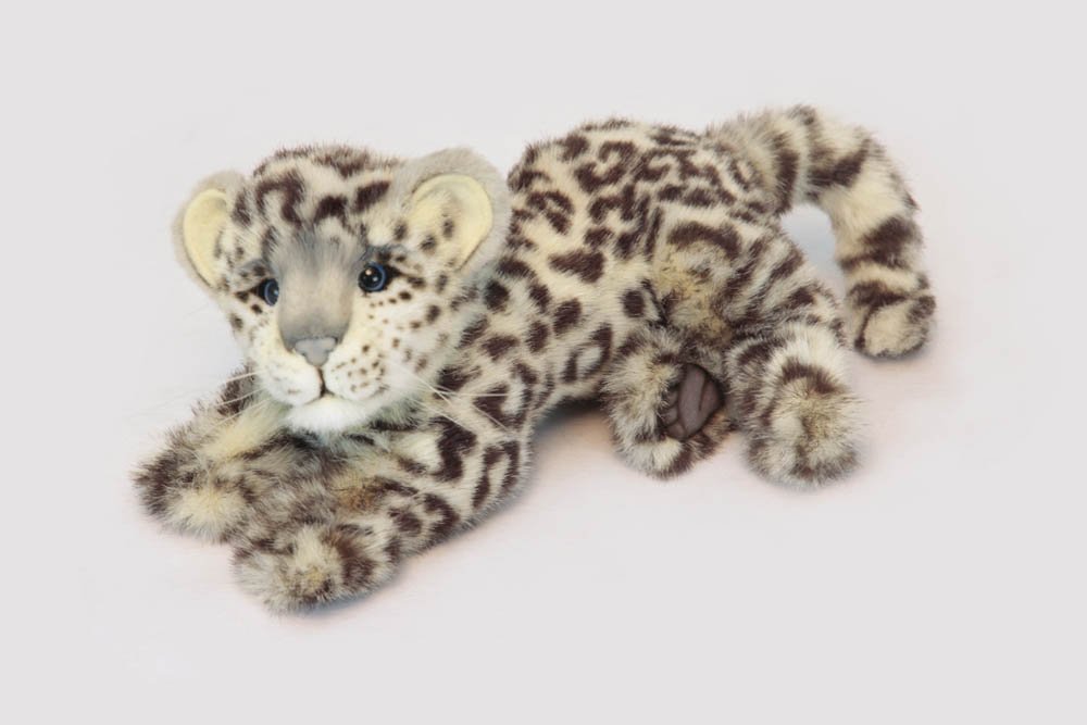 little cap snow leopard cute face 