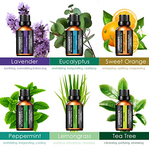 3 URPOWER+Classical+Essential+Humidifier+Aromatherapy