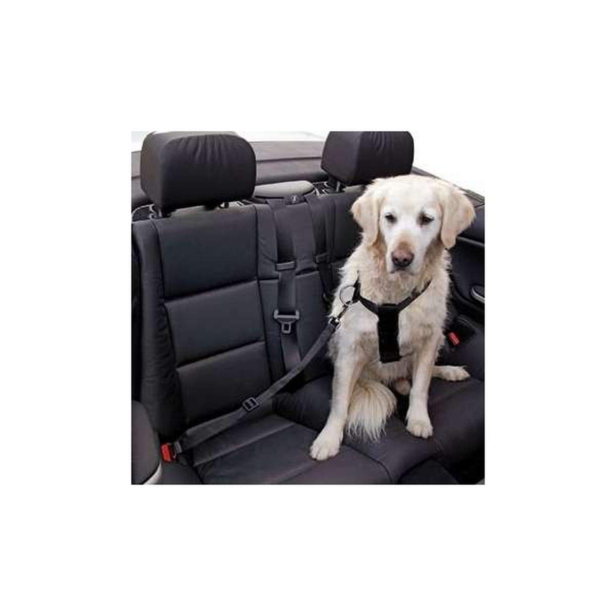 Kerbl Adjustable Safety Belt, Size Small, Black