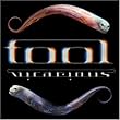 Tool: Vicarious