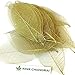 NAVA CHIANGMAI Rubber Tree Leaves - Pack of 100 Skeleton Leaves Decorative DIY Craft , Artificial Leaves Craft Card Scrapbook DIY Handmade Embellishment Decoration Art (Gold)