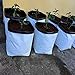 VIVOSUN 50-Pack 3 Gallon Grow Bags for Plants, Black-and-White Thick Plastic Bags for Potting Seedlings, and Rooting