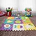 Foam Puzzle Play Mat, Tomi Baby Playmat with 9 Soft Interlocking Floor Tiles for Infants, Toddlers and Kids-Great Mats for Crawling and Playing -Vibrant Animal Shapes- Non Toxic