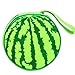 My Sky Cute Design Football, Watermelon, Baskeball, Tire and Hamburger Shape CD Storage Case Bag (Watermelon)