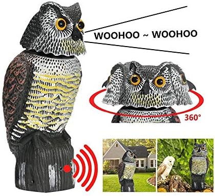 Owl Decoy 360 Rotate Head Sound Shadow Outdoor Statues Fake Owl