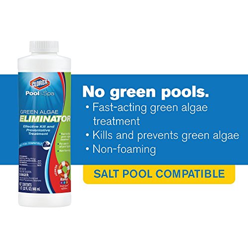 Clorox Pool&Spa Green Algae Eliminator2 - Image 5