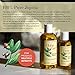 HobaCare 100% Pure, Unrefined Jojoba Oil for Skin & Nails - Moisturizing Body Oil & Face Moisturizer for Dry Skin - Natural Treatment for Hair & Beard Care (8.45 fl oz)
