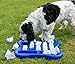 Nina Ottosson DogFinder Interactive game