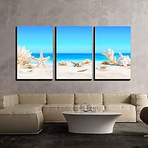 Seashells on Tropical Beach - Canvas Art Wall Art - 16"x24"x3 Panels