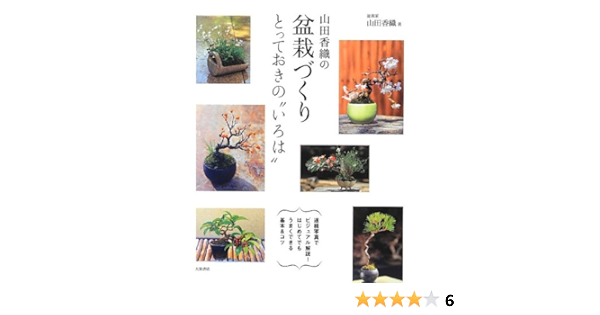 山田香織の盆栽づくり とっておきの いろは Kaori Yamada Amazon Com Books