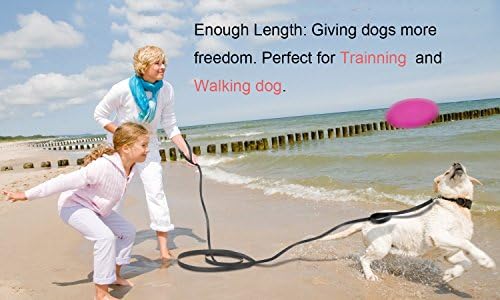 10 metre dog training lead