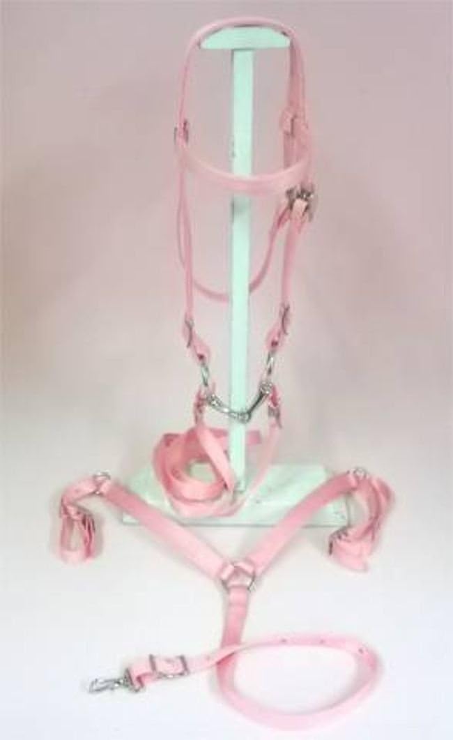Party Ponies Miniature Horse/SM Pony Bridle and Breast Collar Set - Colors!