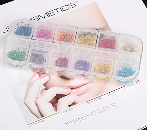 image for MEILINDS Natural Real Dried Flower Case Nail Art Tips Sticker Decals D