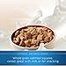 Quaker Oatmeal Squares, Cinnamon, Breakfast Cereal, 14.5 oz Box