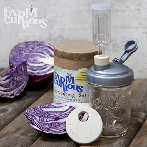 FARMcurious - Mason Jar Fermenting Kit - Mold Free - 1 Kit + 16 oz Kerr Mason Jar - Grey, With Fermenting Weight Handmade in the USA by FARMcurious