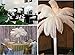 AWAYTR 20-22 inch (50-55cm) Natural Ostrich Feathers for Wedding Centerpieces Home Decoration,Flower Arrangement,DIY Christmas Decorations (10pcs,White)