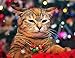 90shine 200PCS Christmas Jingle Bells Party Supplies - Xmas Decorations Craft Activity Decor