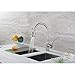Decor Star TPC11-TB Contemporary 16