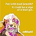 Solid Gold - Young at Heart Senior Dog Food with Real Chicken - Grain Free Dry Dog Food for Sensitive Stomachs - Antioxidant Rich Formula for Immune Support and Overall Health