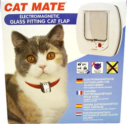 glass fitting cat flap