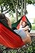 Big Bear Outdoors Best Hammock for Camping : Easy to Set Up & Pack Single/Double Person Hammock, with Separate Hammock Carry Bag (2 Person Hammocks)