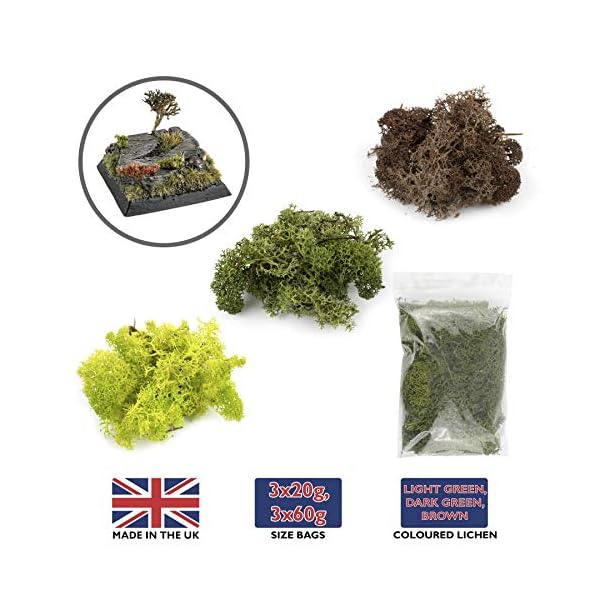 War World Scenics Lichen Flechte Modell Moos Laub Multipacks 3 x 20g (HellgrÃ¼n, DunkelgrÃ¼n, Braun) - Railway Wargame Tabletop GelÃ¤nde Landschaft Baum Busch Hecke Diorama Basing – Bild 6