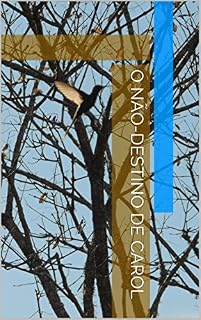 Livro O não-destino de Carol