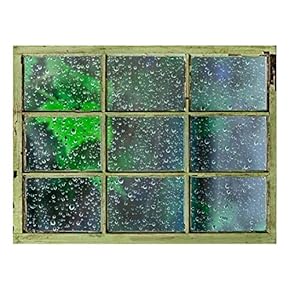 Window View Wall Mural - Raindrops on The Glass - Vintage Style Wall Decor - Peel and Stick Adhesive Vinyl Material - 24x32 inches