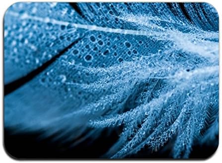 Greicmn Close Up Feather Texture Floor Door Mat Carpets Indoor/Outdoor Area Rugs Garden Office Door Mat,Kitchen Dining Living Hallway Bathroom