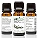 BioFinest Eucalyptus Oil - 100% Pure Eucalyptus Essential Oil - Therapeutic Grade - Premium Quality - Best For Aromatherapy, Headaches, Migraine & Stress Relief - FREE E-Book (10ml)
