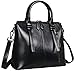 Heshe Womens Tote Purse Top Handle Bags Work Bag Satchel Cross-body Bag (Black-new)