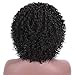 AISI HAIR Natural Afro Kinky Curly Wig Black Curly Synthetic Hair Wig Short Afro Curly Wig Heat Resistant Fiber Hair Side Part Wig for Women