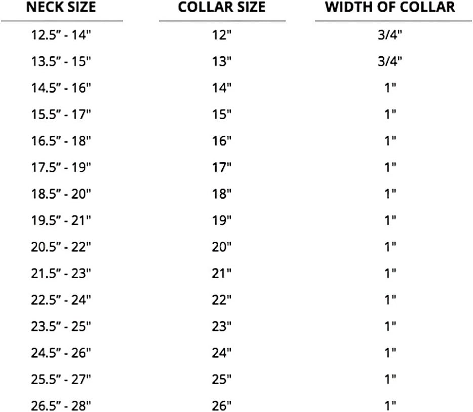 keeper collar hidden prong