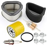 Harbot GY20574 M92359 AM121608 AM123553 Air Filter with Pre Filter AM101207 Oil Filter for John Deere LT133 LT150 LT155 LX173 LX255 SST15 GT225 Lawn Mower Tractor