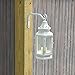 Plant Hanger Hook 6” Inch, Hand Forged Straight, White – Heavy Duty Iron Wall Hook for Plants, Bird Feeders, Lanterns, Wind Chimes