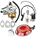 Hilom GX 340 Carburetor Carb with Recoil Starter for Honda GX340 GX390 GX 390 13HP 4-Stroke Engine Lawn Mower Tiller Cultivator Replace 16100-ZF6-V01 5244827 primary