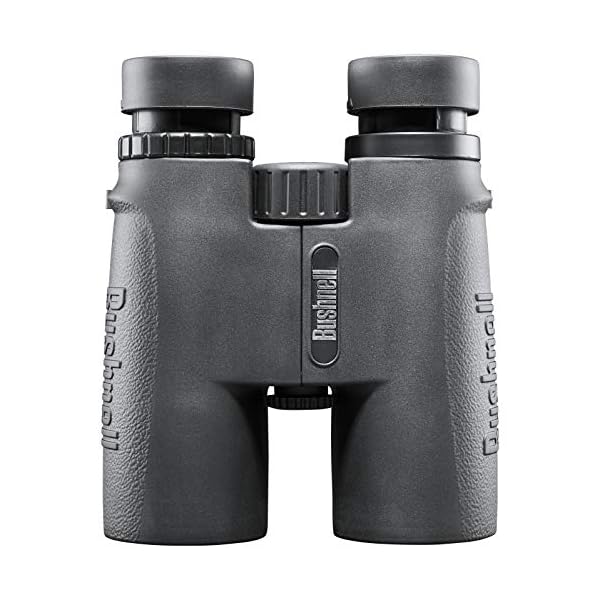 Bushnell - Allzweck - 10x42 - Schwarz - Dachkantprisma - Fernglas - Vogelbeobachtung - Sightseeing - Reisen - Wildtiere… – Bild 7