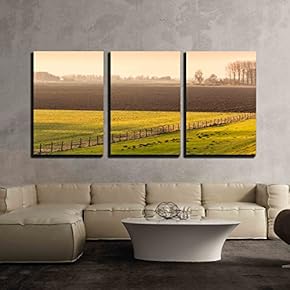 3 Piece Canvas Wall Art - Countryside in The Netherlands with a Meadow, a Plowed Field and a Fence - Modern Home Art Stretched and Framed Ready to Hang - 16"x24"x3 Panels