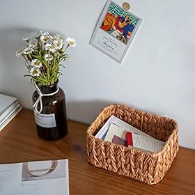 GRANNY SAYS Bathroom Baskets for Organizing, Wicker Storage Baskets for Bathroom, Bathroom Counter Storage, Toilet… 51CjsjzJXgL