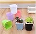Flower Pots, Xawy 3 Inch 7 Color Plastic Flower Pots To Hang The Balcony Garden Plant Pot Home Decoration （14Pack）