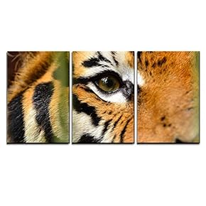 3 Piece Canvas Wall Art - Close Up of Tiger Eye - Modern Home Art Stretched and Framed Ready to Hang - 16"x24"x3 Panels