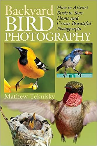 Amazon Com Backyard Bird Photography How To Attract Birds To