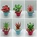 UNQUER 18 Pack Artificial Succulent Flocking Plants - Unpotted Faux Flocked Succulent Assortment Create Realistic Succulent Arrangements Fake Potted Succulent Décor Different Size Lotus Garden DYI