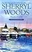 Harbor Lights (A Chesapeake Shores Novel)
