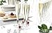 Northwest Enterprises Hard Plastic One Piece 5-Ounce Champagne Flutes, Clear, 20 Count