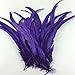 Sowder Purple Rooster Coque Tail Feathers 13-16inch Lengh Pack of 50