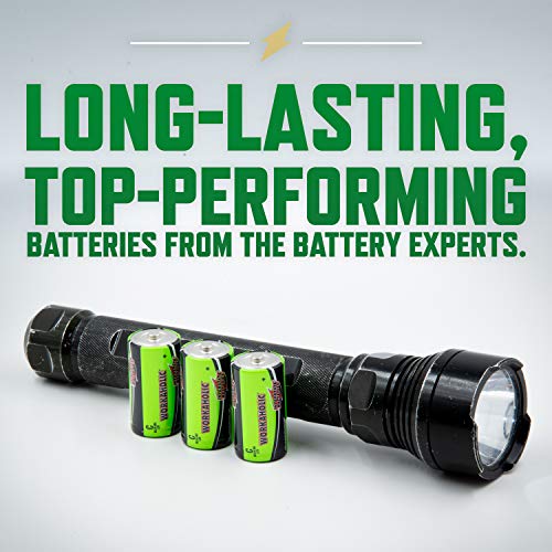 Interstate Batteries C Cell Alkaline Battery (12 Pack) AllPurpose 1.5V